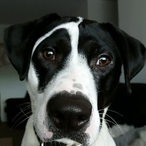 Meet your Posher, Mike